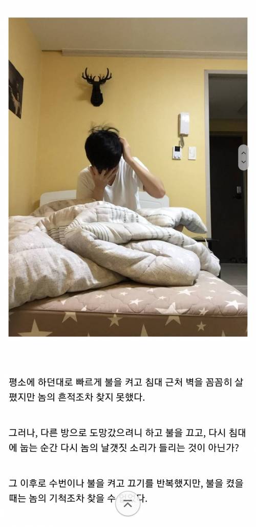 [스압] 모기 갤러리 레전드 작품 "호적수"