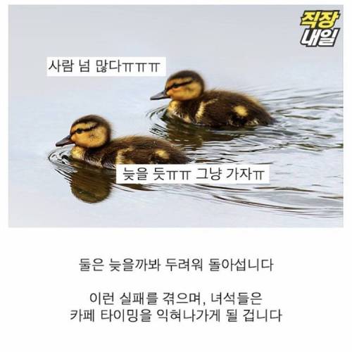 직딩에게 점심 먹고 커피란?..