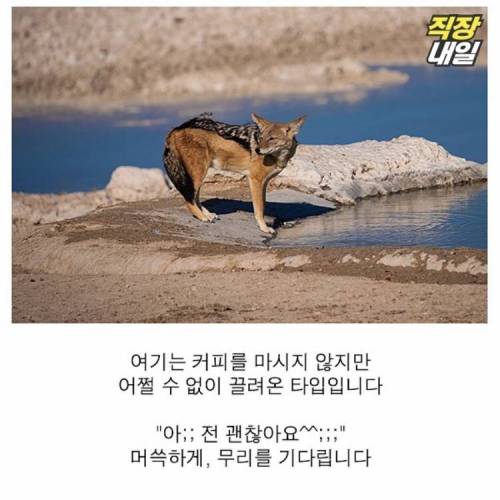 직딩에게 점심 먹고 커피란?..
