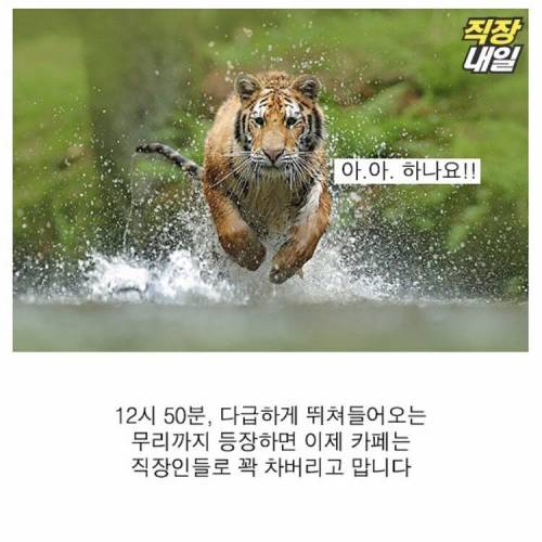 직딩에게 점심 먹고 커피란?..