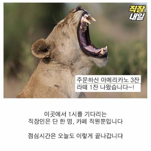 직딩에게 점심 먹고 커피란?..