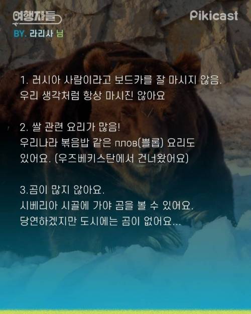 [스압] 해외문화충격들.jpg