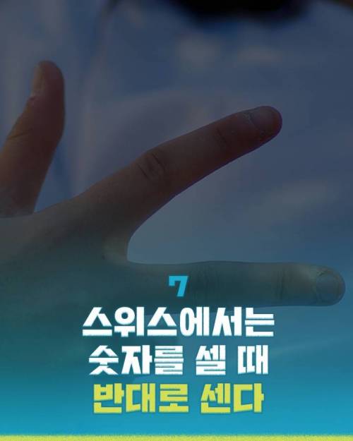 [스압] 해외문화충격들.jpg