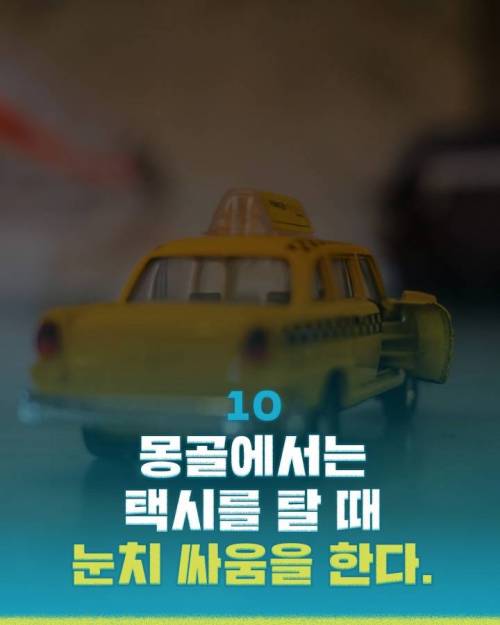 [스압] 해외문화충격들.jpg