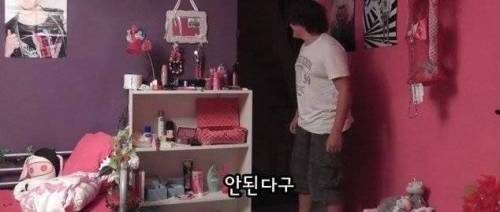[스압] 해킹복수로 남동생 방을 여자방으로 만들어버림.jpg