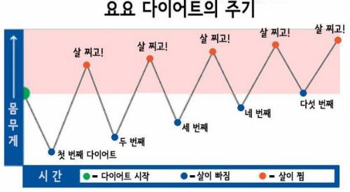 요요 다이어트 주기.jpg