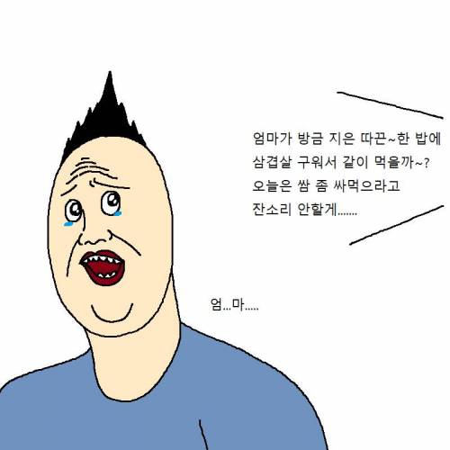 [스압] 엄마가 만든 요리 때문에 개빡치는 만화.jpg