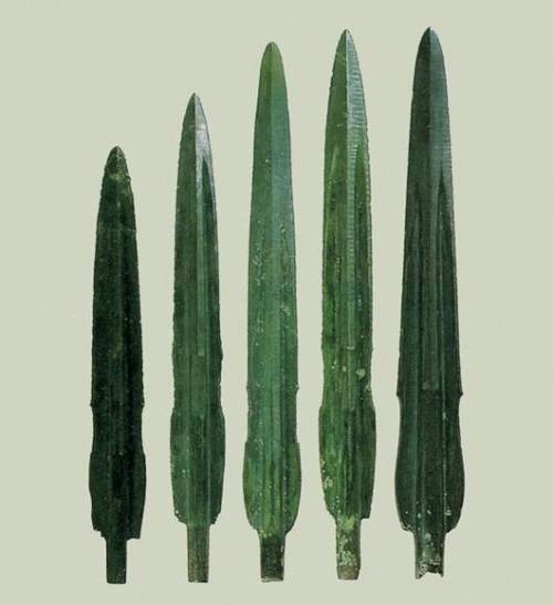 사무실 전설의 선인장.jpg