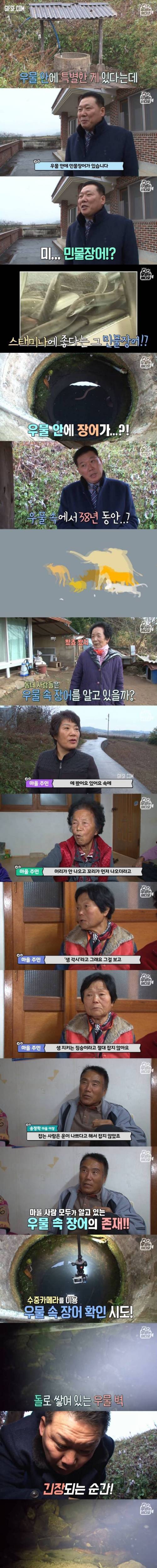 [스압] 최소 40년 살은 장어.jpg