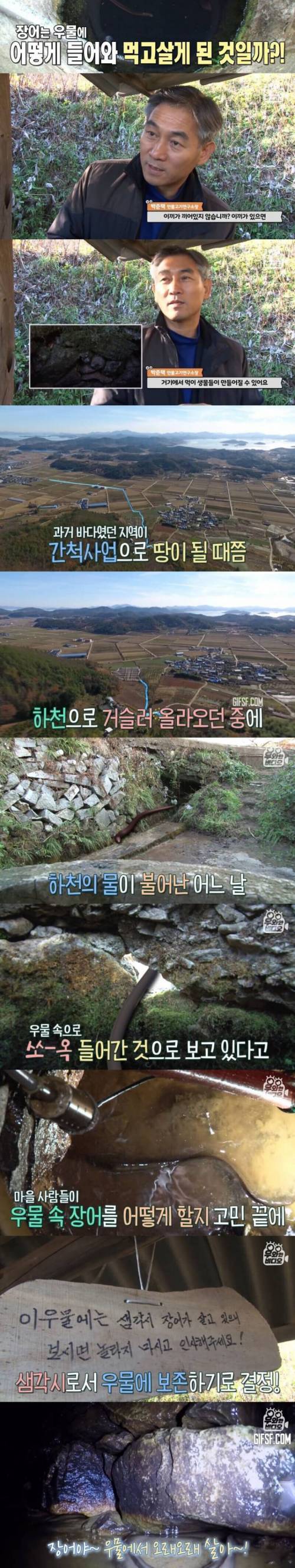 [스압] 최소 40년 살은 장어.jpg