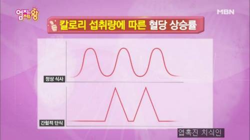 내분비내과 교수가 말하는 최악의 다이어트 방법