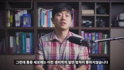 [스압] 메의사인 내가 아플때 진통제부터 먹는 이유.jpg