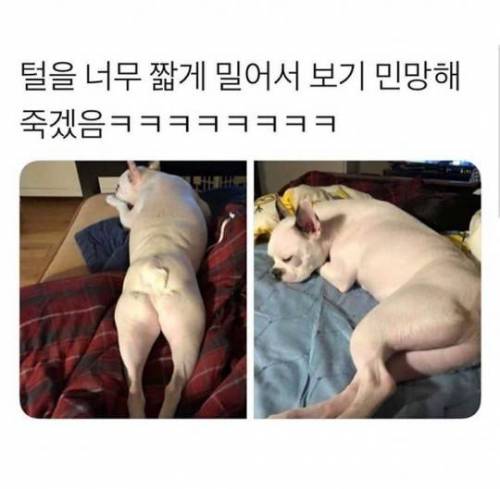 [후방] 새하얗고 통통한 허벅지 뒷태.jpg