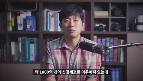 [스압] 메의사인 내가 아플때 진통제부터 먹는 이유.jpg
