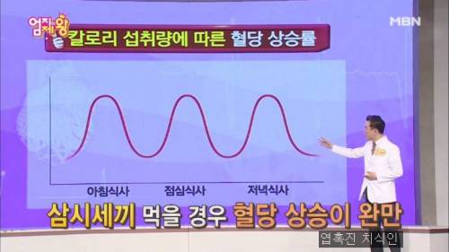 내분비내과 교수가 말하는 최악의 다이어트 방법