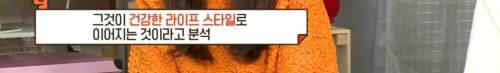 아침에 (이것)을 하는 남자들의 연봉이 20~30％ 높다