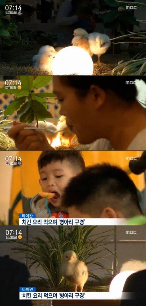 대만의 동심파괴.jpg