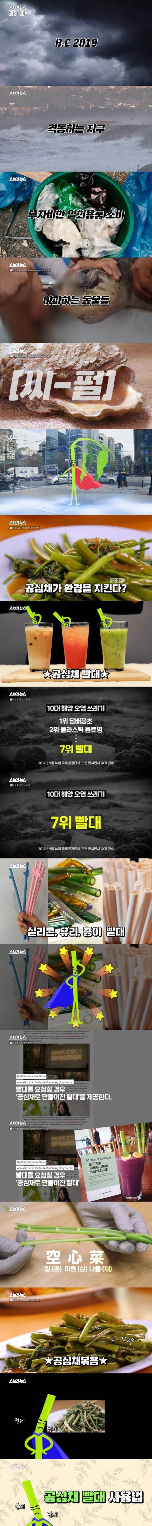 [스압] 종이빨대 대체작.jpg