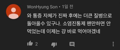 [스압] 메의사인 내가 아플때 진통제부터 먹는 이유.jpg