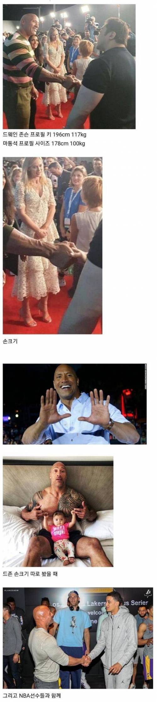 더락과 마동석의 피지컬 차이.jpg