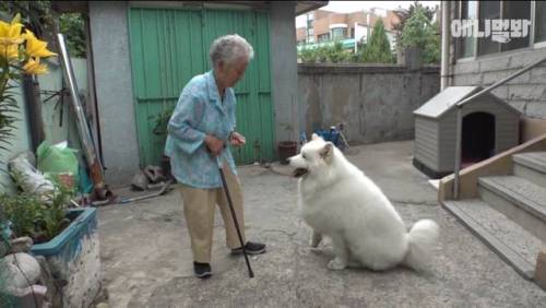 [스압] 90년 차이 우정