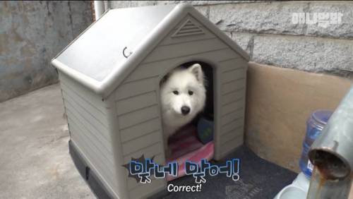 [스압] 90년 차이 우정
