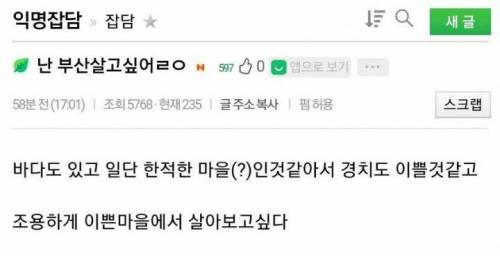 부산같은 한적한 마을에 살고싶다는 인티인.jpg