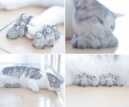 털로만든 펭귄.jpg
