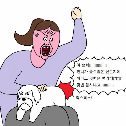 [스압] 자꾸 사고치는 개 훈련시키는 만화.jpg