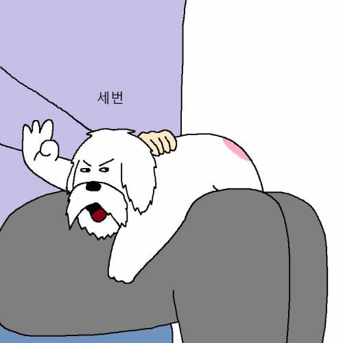 [스압] 자꾸 사고치는 개 훈련시키는 만화.jpg