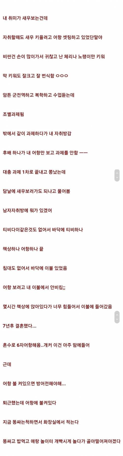 자취방에 어항 두지마라..........
