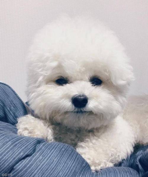 자다 일어난 머리.jpg
