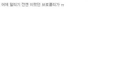 브로콜리 건조시켰는데 양이 확 줄었어요