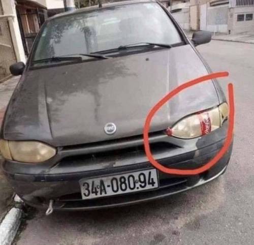 [스압] 마음이 평안해지는 사진들.jpg