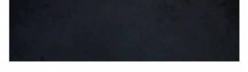 [스압] 은혜 갚은 까치.jpg