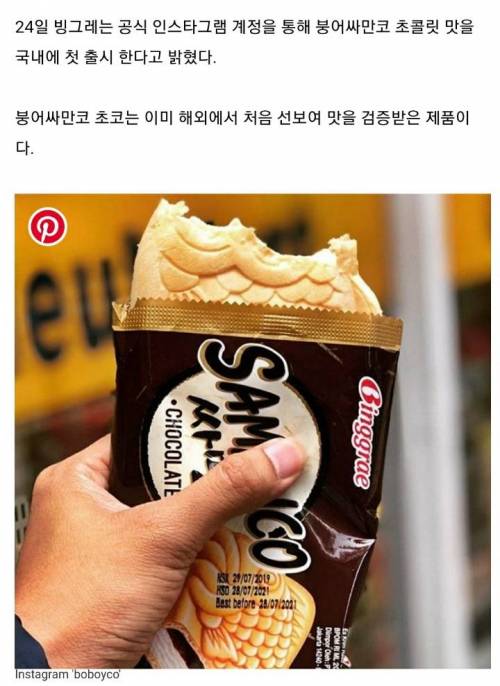 팥 싫어하는 친구들 위해 드디어 국내 출시된 `초코맛 붕어싸만코`