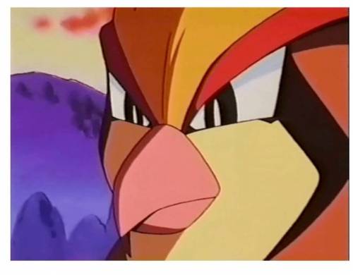 지우개.jpg