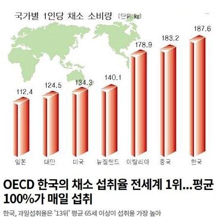 한국에서 채식이 유행하지 않는 이유