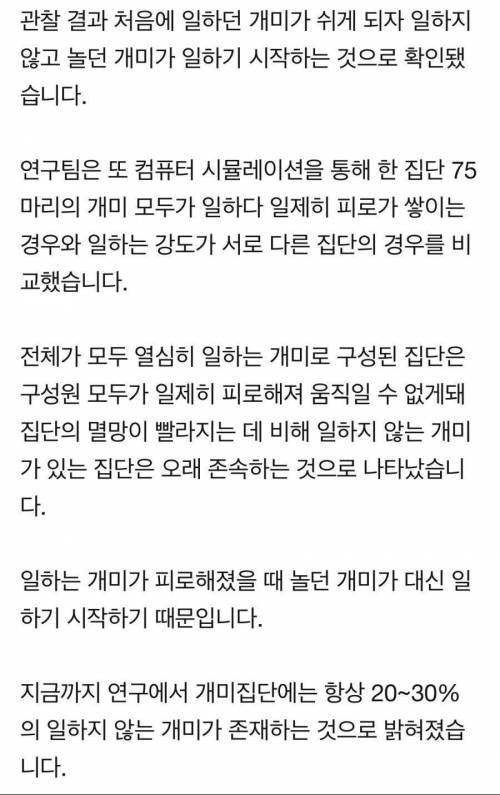 일 안하고 노는 개미의 실체.jpg