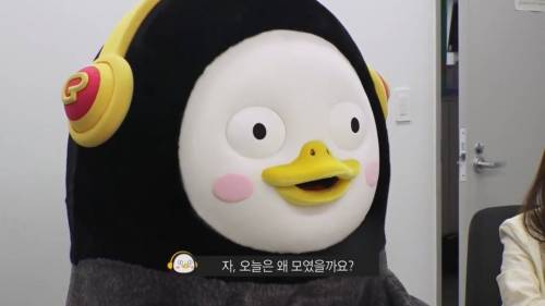 [초스압] 펭수와 매니저 삭발 재판.jpg