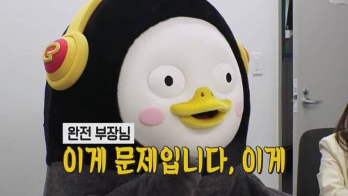 [초스압] 펭수와 매니저 삭발 재판.jpg