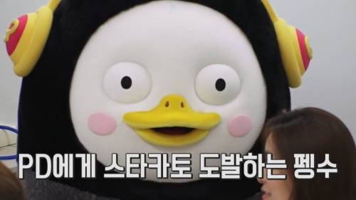 [초스압] 펭수와 매니저 삭발 재판.jpg