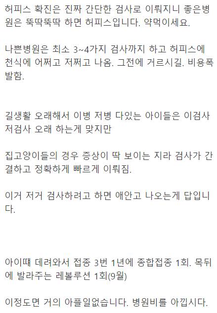 동물병원 과잉진료.jpg
