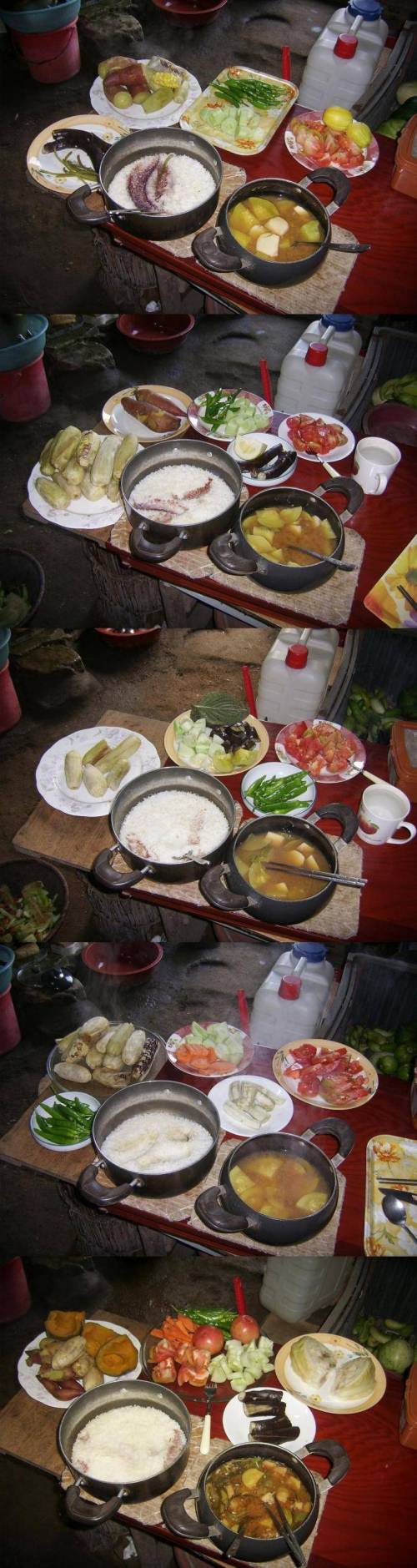 [스압] 어느 디씨인의 채식 식단..jpg