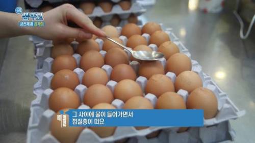 삶은 계란 쉽게 까는 방법.jpg