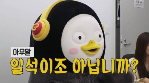 [초스압] 펭수와 매니저 삭발 재판.jpg