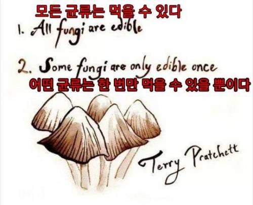 못먹는 버섯은 없다.jpg