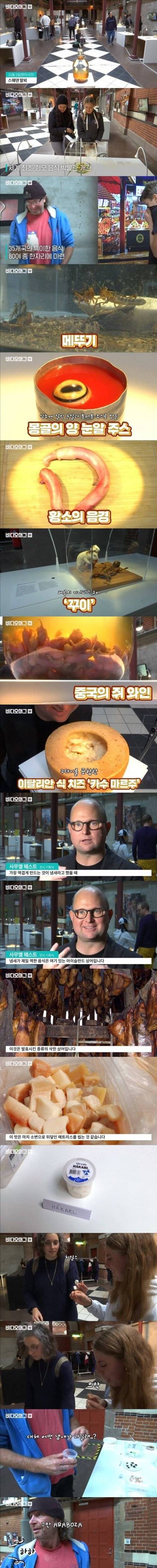 [스압] 세계 혐오 음식 박람회.jpg