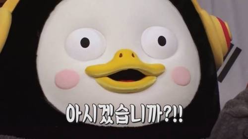 [초스압] 펭수와 매니저 삭발 재판.jpg