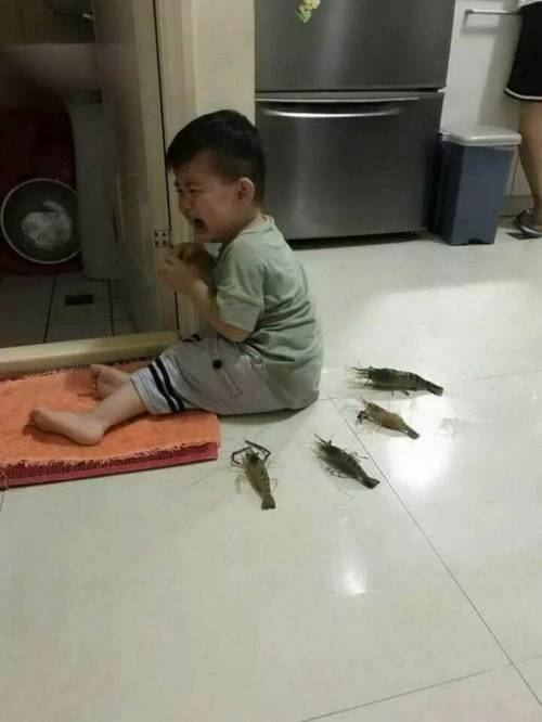 [스압] 지구촌 이모저모.jpg